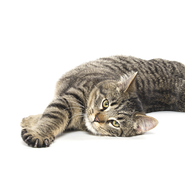 © Thinkstock