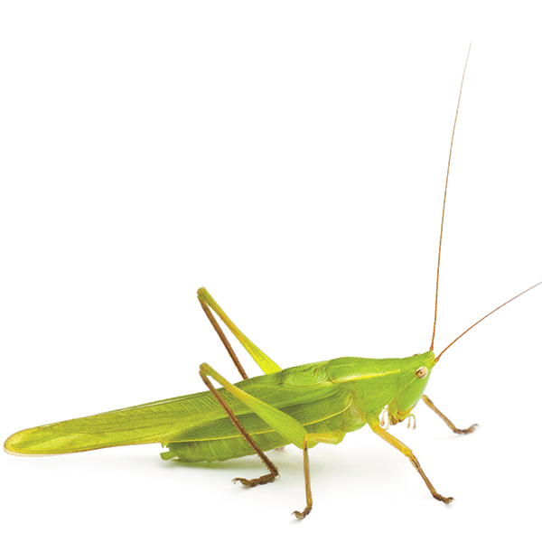 © Thinkstock