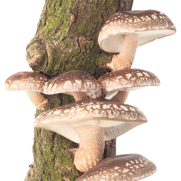 © Thinkstock