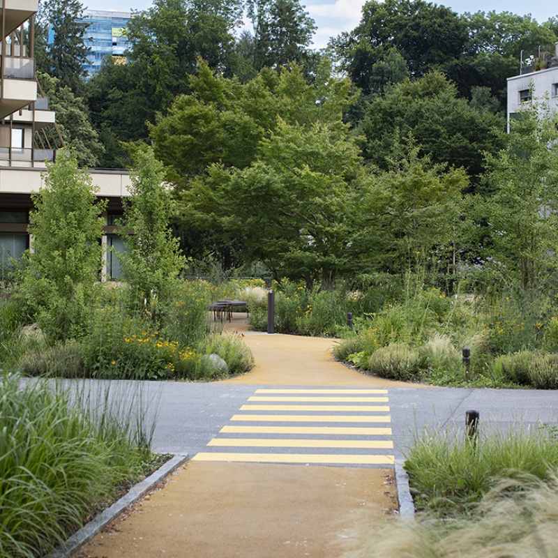 Eines der LandRise-Projekte: Neugestaltung der Außenanlagen der Raiffeisen Landesbank in Bregenz. Foto: Petra Rainer
