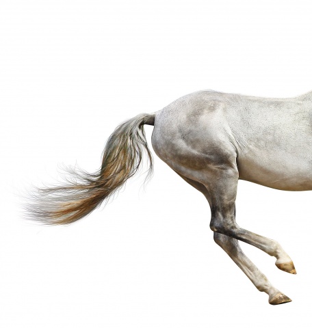 © Thinkstock