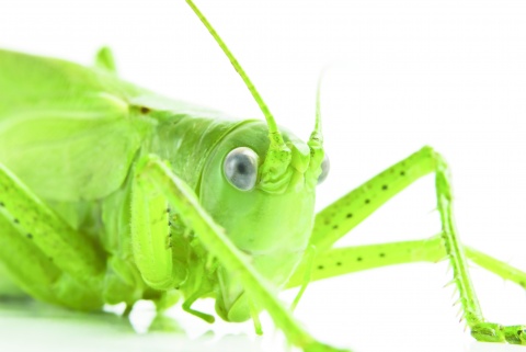 © Thinkstock