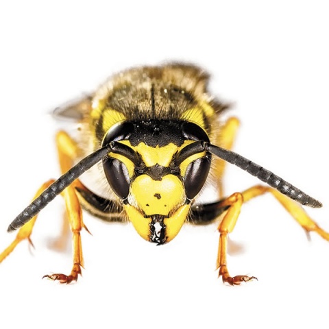 © Thinkstock