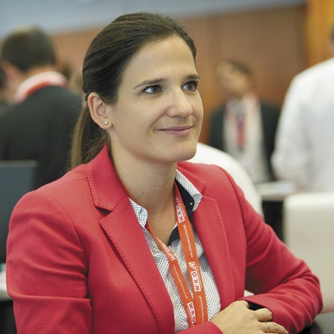 © AUSSENWIRTSCHAFT AUSTRIA