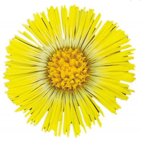 © Thinkstock