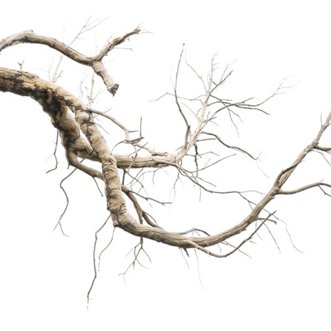 © Thinkstock