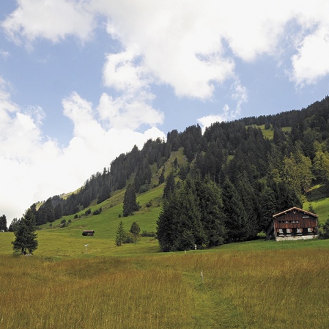 © Peter Freiberger