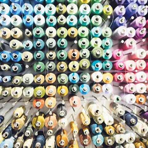 Fotos: Lisa Beller, istockphoto