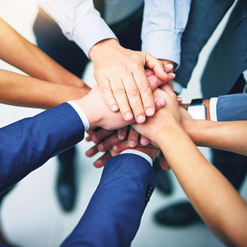 Fotos: Lisa Beller, istockphoto