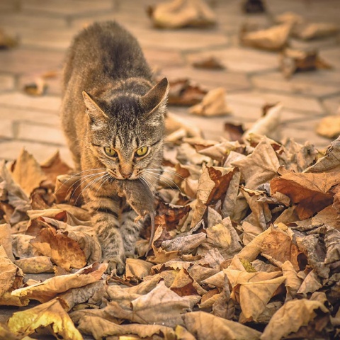 Fotos: istockphoto, beigestellt