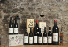 Das Weingut Casa Re liegt im kleinen Dorf Montabone im Piemont. Seit 2003 ist Harry König der Besitzer und hat die ehemaligen Ställe und Heuböden originell und liebevoll für Gäste renoviert. Seine große Leidenschaft ist die Herstellung von typisch piemontesischem Wein.  