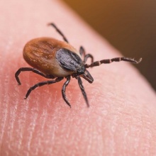 Anfang 2021 ist am Landeskrankenhaus Feldkirch die eigene Makula-Ambulanz eröffnet worden.<br><br>Fotos: Ladislav Kubeš, matthias Weissengruber, Vorarlberger Landeskrankenhäuser