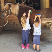 Den Schritt des respektvollen Miteinanders der ganzen Schöpfung wagen wir in der Propstei St. Gerold mit unserem engagierten Pferde-Team.
