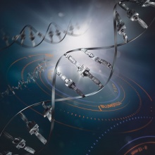 Fotos: istockphoto, wko bilderpool, Hämmerle, walser-image.com, PATRICK SAELY PHOTOGRAPHY, Faruk Pinjo, Markus Gmeiner, Studio Wälder