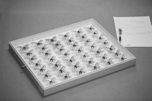 Die inatura agiert bei all diesen Inventarisierungsarbeiten nicht als Einzelkämpferin: Vernetzung lautet das Gebot des 21. Jahrhunderts. Foto: Petra Rainer